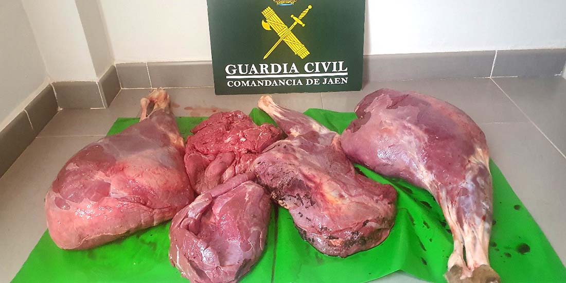 El Seprona de Linares intercepta carne de ciervo ilegal y sin control sanitario