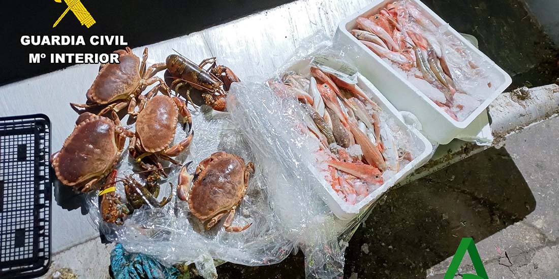 La Guardia Civil interviene más de 10 kg de pescado y marisco no apto para el consumo en el polígono industrial «Guadiel»